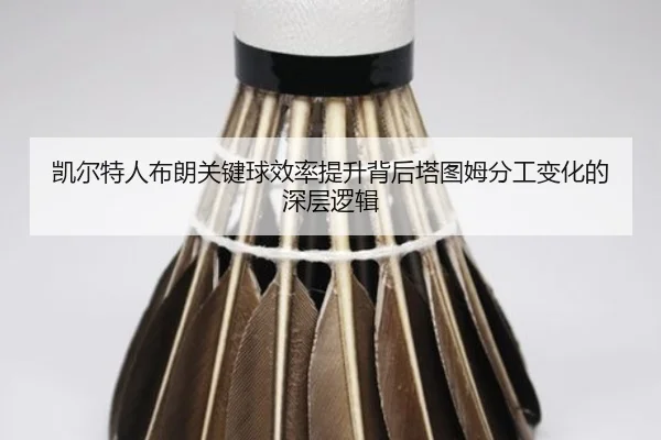 凯尔特人布朗关键球效率提升背后塔图姆分工变化的深层逻辑